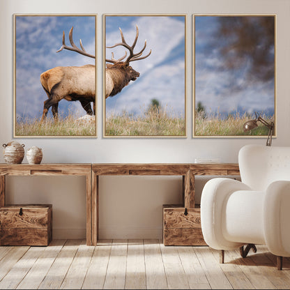 Elk with antlers standing on grass with mountain background, ideal for rustic, cabin, or lodge-inspired wall decor.