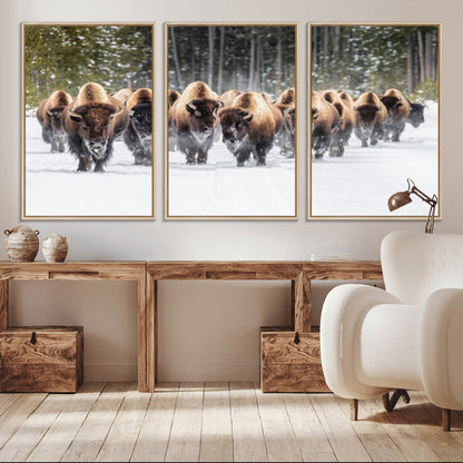 A herd of American bisons walking through a snowy forest path, perfect for rustic cabin or Western-themed wall decor.