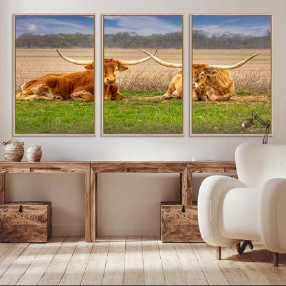 Two longhorn cows lying on green grass in front of a golden field and trees under a blue sky, perfect for rustic country wall decor.