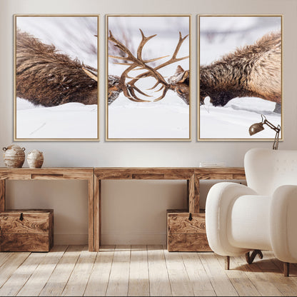Two elk clashing antlers in a snowy forest, capturing raw power and wild energy, ideal for rustic cabin or lodge-style decor.