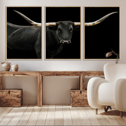 Close-up of a black Texas longhorn with large curved horns on black background, ideal for rustic farmhouse or modern western interiors.