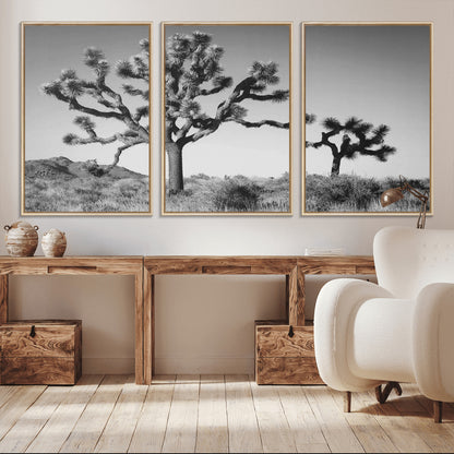 Black and white Joshua trees in a rugged desert landscape, creating a calm and minimalist feel for natural or rustic-themed interiors.