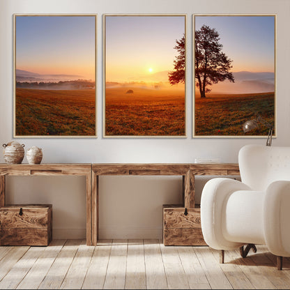A tranquil landscape at sunrise with a mist-covered field and a lone tree, creating a peaceful and natural atmosphere.