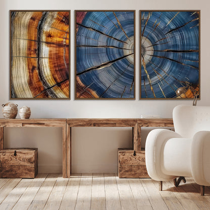 A stunning close-up view of a tree trunk, showcasing the intricate growth rings in a vibrant mix of warm browns, cool blues, and hints of natural texture.