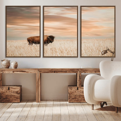 Bison Wall Art Print - Buffalo Canvas Print, featuring a lone bison in a golden prairie under a warm sunset sky, perfect for rustic and farmhouse decor.