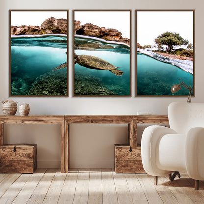 Dynamic split-view photo of a sea turtle swimming near rocky shores, perfect for vibrant coastal or tropical beach home decor.