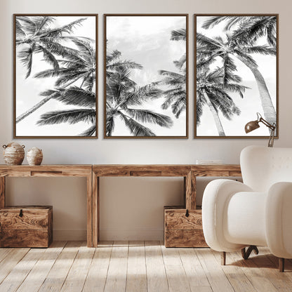 Black and white tropical palm trees viewed from below, swaying gently against a bright sky, creating a serene and elegant coastal atmosphere.