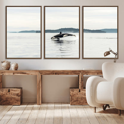 An orca jumping out of calm ocean waters with a misty island in the background, creating a serene and minimalist marine wildlife scene.