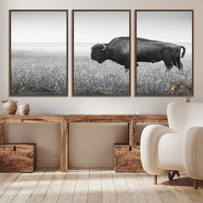 A black and white photograph of a majestic bison standing in a vast grassy prairie, evoking a sense of wilderness and strength.