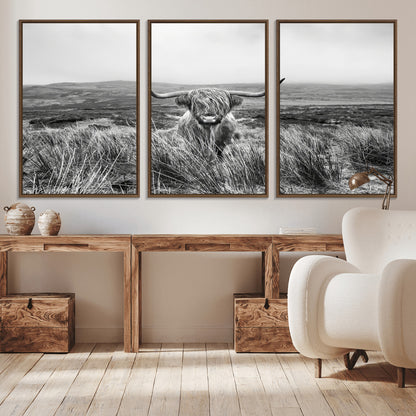 A black and white portrait of a Highland cow in a foggy Scottish countryside, capturing a rustic aesthetic and tranquil farm escape.