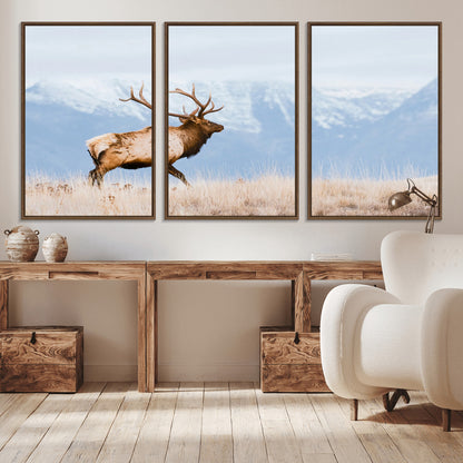 An elk walking on snowy grassland with majestic mountains in the background, ideal for rustic lodge or cabin wall decor.