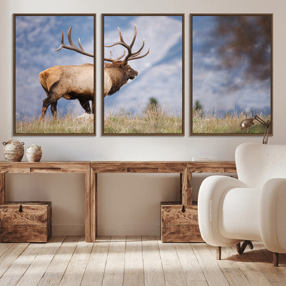 Elk with antlers standing on grass with mountain background, ideal for rustic, cabin, or lodge-inspired wall decor.