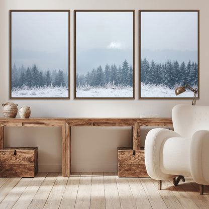 Snow-covered forest under misty sky, soft light breaking through clouds, ideal for minimalist or Nordic-inspired home decor.