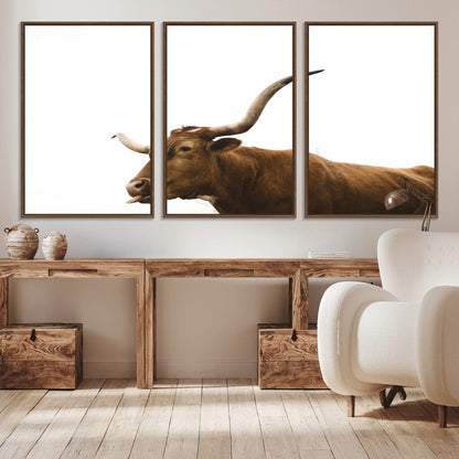 Minimal photo of a longhorn cow with white background, ideal for rustic, western or farmhouse-style interior decor.