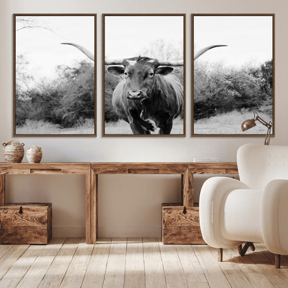 Black and white photo of a longhorn cow in a field, perfect for rustic farmhouse or western-themed interior wall decoration.