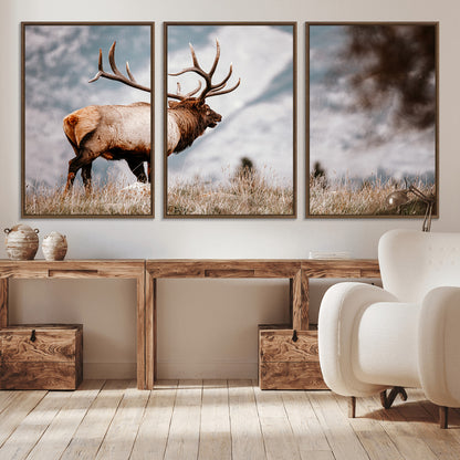 Majestic elk with large antlers standing in grass with snowy mountains in background, perfect for rustic cabin or lodge style decor.