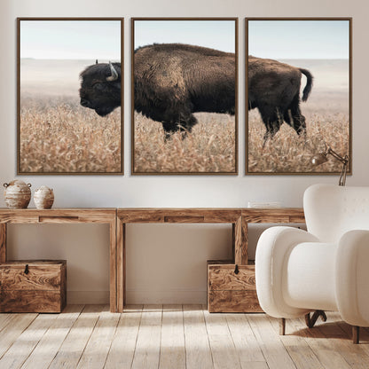 A lone bison stands in a vast prairie under a soft sky, evoking freedom and rustic charm for western or farmhouse inspired interiors.