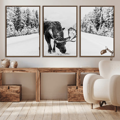 A majestic moose grazing in the snow-covered wilderness, surrounded by snow-covered trees, creating a peaceful winter scene.