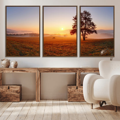 A tranquil landscape at sunrise with a mist-covered field and a lone tree, creating a peaceful and natural atmosphere.