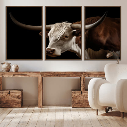 "Close-up of a brown and white longhorn cow with prominent curved horns against a black background."