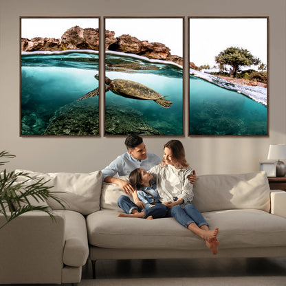 Dynamic split-view photo of a sea turtle swimming near rocky shores, perfect for vibrant coastal or tropical beach home decor.