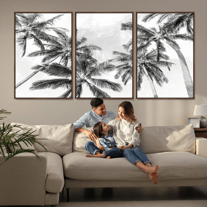 Black and white tropical palm trees viewed from below, swaying gently against a bright sky, creating a serene and elegant coastal atmosphere.