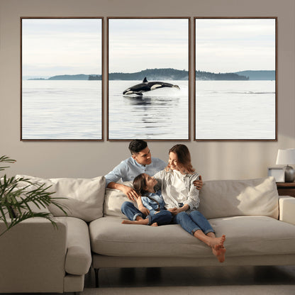 An orca jumping out of calm ocean waters with a misty island in the background, creating a serene and minimalist marine wildlife scene.