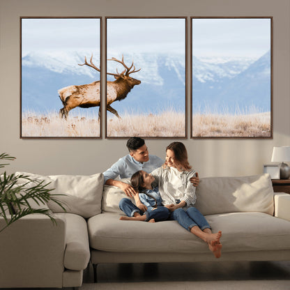 An elk walking on snowy grassland with majestic mountains in the background, ideal for rustic lodge or cabin wall decor.