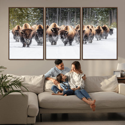 A herd of American bisons walking through a snowy forest path, perfect for rustic cabin or Western-themed wall decor.