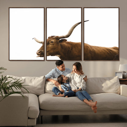 Minimal photo of a longhorn cow with white background, ideal for rustic, western or farmhouse-style interior decor.
