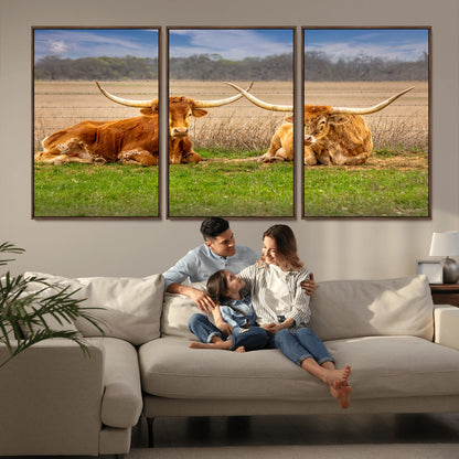 Two longhorn cows lying on green grass in front of a golden field and trees under a blue sky, perfect for rustic country wall decor.