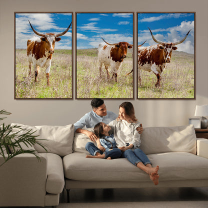 Three Texas longhorn cattle standing in dry grass under a bright blue sky, ideal for farmhouse or western rustic home decor.