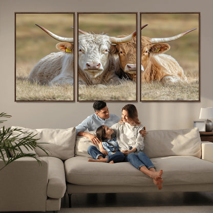 Two cows laying closely in a dry grassy field, captured in soft light, perfect for rustic farmhouse or western style home decor.
