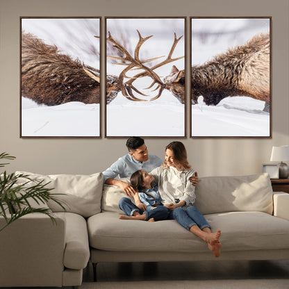 Two elk clashing antlers in a snowy forest, capturing raw power and wild energy, ideal for rustic cabin or lodge-style decor.