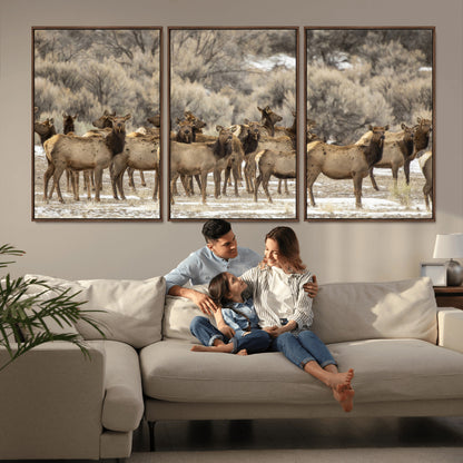 A large herd of elk standing in an open field with soft earthy tones, ideal for rustic lodge or western-themed home wall decor.
