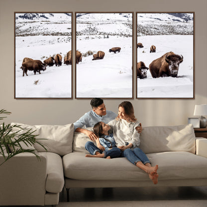 A herd of bison walking through deep snow in a mountain valley, perfect for rustic, cabin or western-themed wall decor.