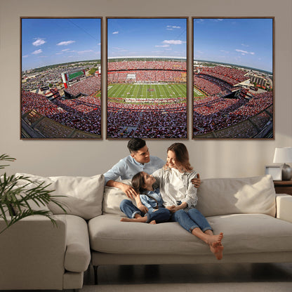 An William Brice-Stadium view of a full football stadium with cheering fans and clear blue skies, capturing the excitement and energy of the game.
