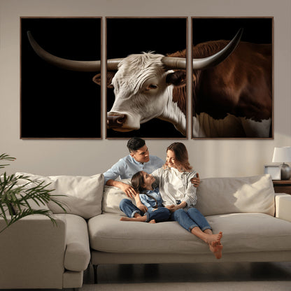 "Close-up of a brown and white longhorn cow with prominent curved horns against a black background."