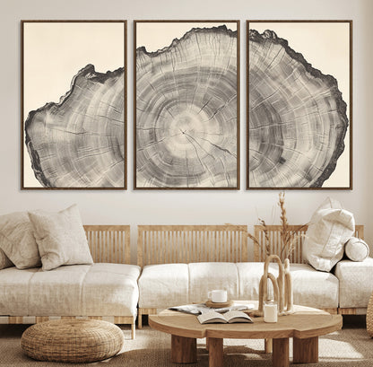 Detailed tree ring drawing in monochrome tones, ideal for rustic or nature-inspired interiors with a minimal decor aesthetic.