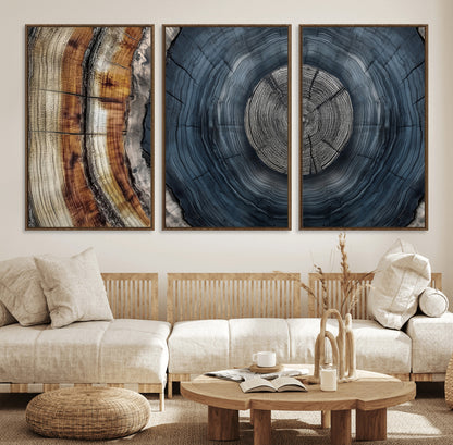 A stunning close-up of a tree trunk showing the intricate, circular growth rings, showcasing the natural textures and rich contrasts in deep blues, browns, and silvers.