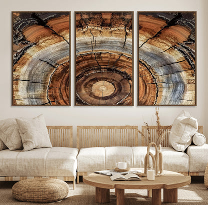 Canvas of tree rings and natural wood grain in earthy tones, ideal for rustic or vintage-inspired home decor with organic textures.