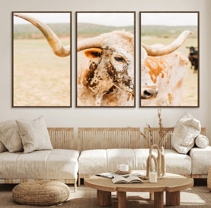 Close-up of a speckled Texas Longhorn in warm prairie tones, perfect for rustic western or countryside-themed room decor.