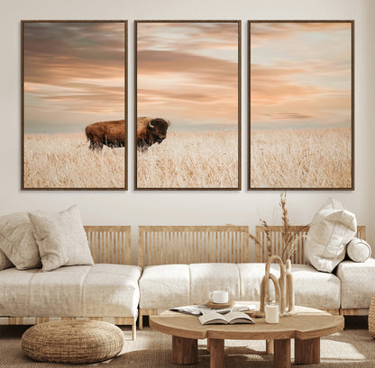 Bison Wall Art Print - Buffalo Canvas Print, featuring a lone bison in a golden prairie under a warm sunset sky, perfect for rustic and farmhouse decor.