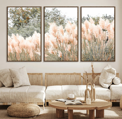 Soft pastel pampas grasses in a natural setting, ideal for neutral boho or rustic botanical-style interior wall decoration.