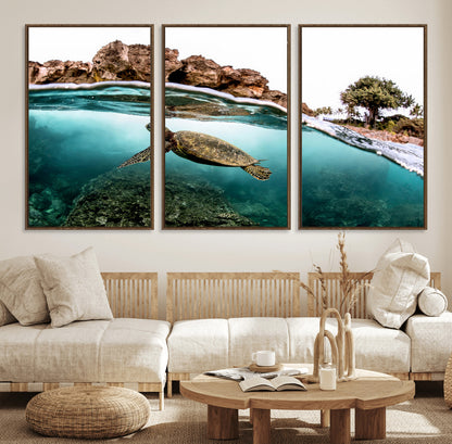 Dynamic split-view photo of a sea turtle swimming near rocky shores, perfect for vibrant coastal or tropical beach home decor.