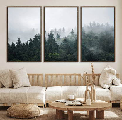 A misty evergreen forest shrouded in soft fog, creating a tranquil and moody landscape with lush green trees fading into the distance.