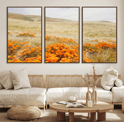 A golden field with vibrant orange poppies blooming across rolling hills under a soft, sunlit sky, creating a warm and rustic landscape.