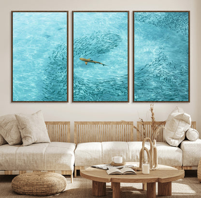 Aerial view of a shark swimming through a swirl of fish in clear turquoise waters, perfect for calm coastal or beach house decor.