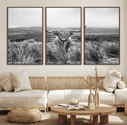 A black and white portrait of a Highland cow in a foggy Scottish countryside, capturing a rustic aesthetic and tranquil farm escape.