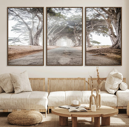 Canvas of a misty tree tunnel with arching cypress trees and an earthy road, ideal for rustic or coastal nature decor.
